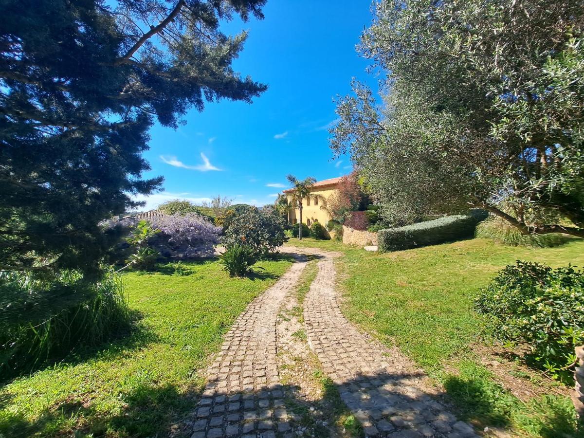 Rez De Jardin Villa Presqu'Ile De Giens Hyères Exterior foto